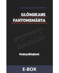 Glömskans fantomsmärta, E-bok