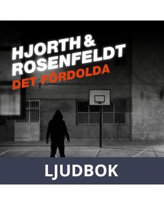 Det fördolda / Lättläst, Ljudbok