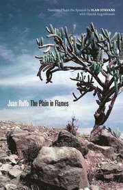 The Plain in Flames