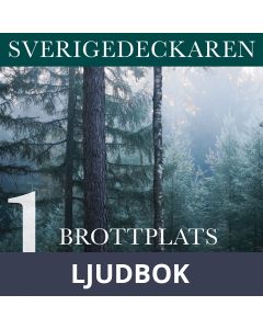 Brottsplats Bergslagen, Ljudbok