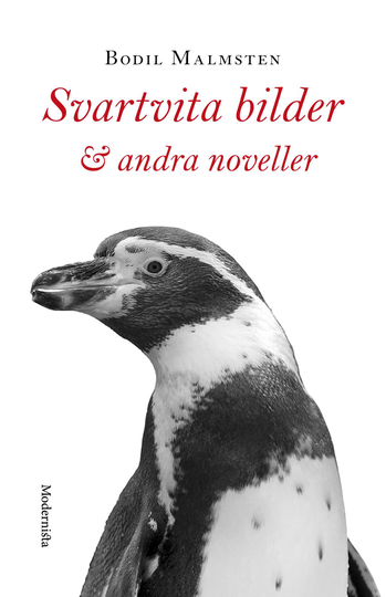 Svartvita Bilder & Andra Noveller