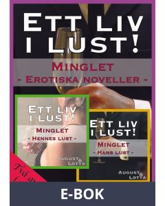 Minglet : erotiska noveller, E-bok