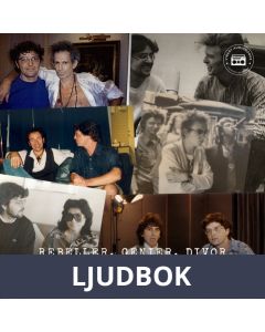 Rebeller, Genier, Divor & Bad Boys, Ljudbok