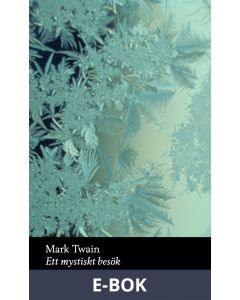 Ett mystiskt besök, E-bok