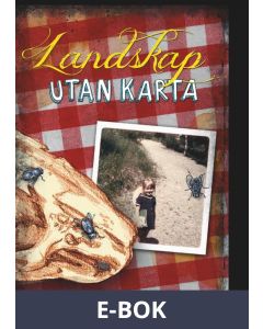 Landskap utan karta, E-bok