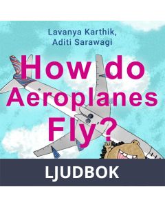 How do Aeroplanes Fly?, Ljudbok