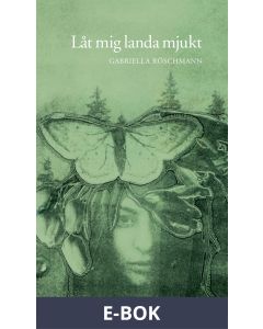 Låt mig landa mjukt, E-bok