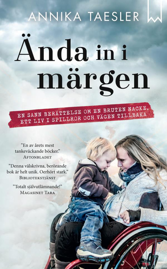 Ända In I Märgen - En Sann Berättelse Om En Bruten Nacke, Ett Liv I Spillror Och Vägen Tillbaka