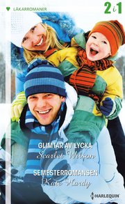 Glimtar av lycka/Semesterromansen