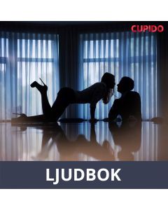 The work trip, Ljudbok