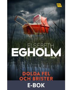 Dolda fel och brister, E-bok