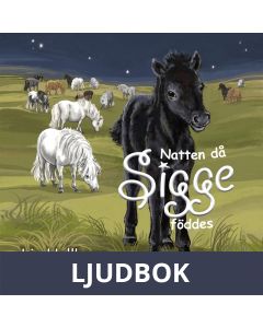 Natten då Sigge föddes, Ljudbok