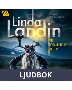 När fördämningar brister, Ljudbok