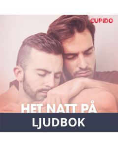 Het natt på bastuklubben, Ljudbok