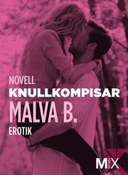 Knullkompisar : en novell ur Begär