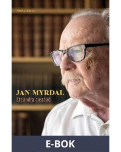 Ett andra anstånd, E-bok
