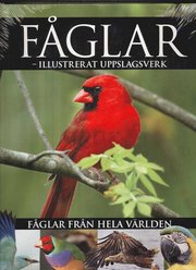 Fåglar - illustrerat uppslagsverk