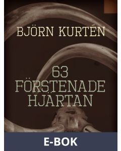 63 förstenade hjärtan, E-bok