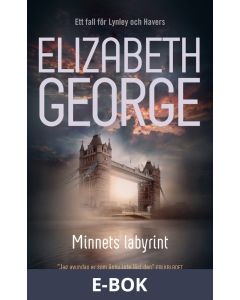 Minnets labyrint, E-bok