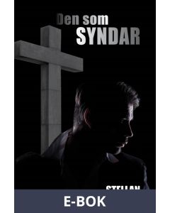 Den som syndar, E-bok