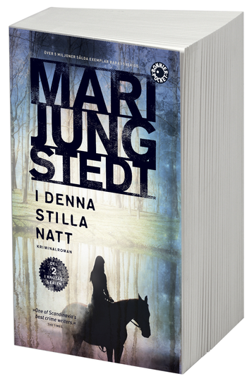 I Denna Stilla Natt