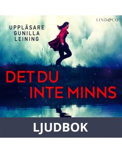 Det du inte minns, Ljudbok