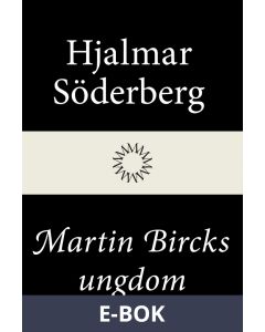 Martin Bircks ungdom, E-bok