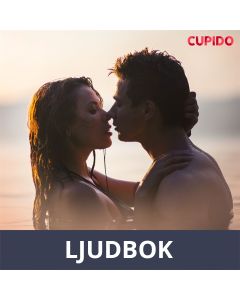 Fjällets fröjder - och andra erotiska noveller från Cupido, Ljudbok