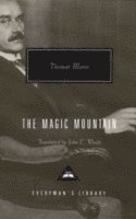 The Magic Mountain