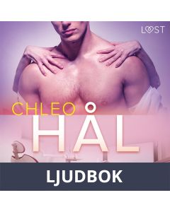 Hål - erotisk novell, Ljudbok