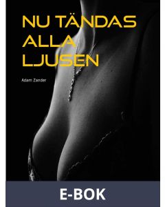 Nu tändas alla ljusen: En erotisk novell, E-bok