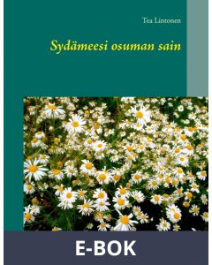 Sydämeesi osuman sain, E-bok