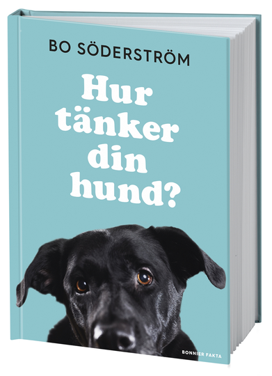 Hur Tänker Din Hund?