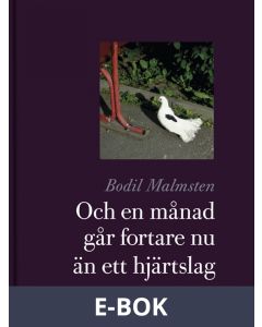 Och en månad går fortare nu än ett hjärtslag, E-bok
