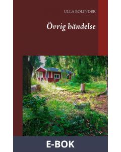 Övrig händelse, E-bok