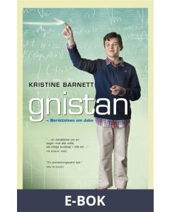 Gnistan : Berättelsen om Jake, E-bok
