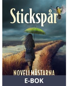 Stickspår, E-bok