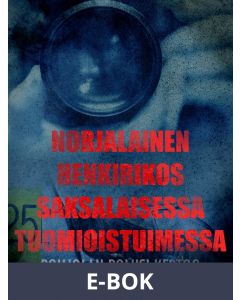Norjalainen henkirikos saksalaisessa tuomioistuimessa, E-bok