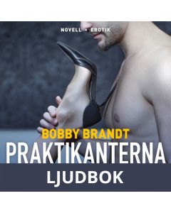 Praktikanterna, Ljudbok