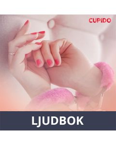 Upea esitys, Ljudbok