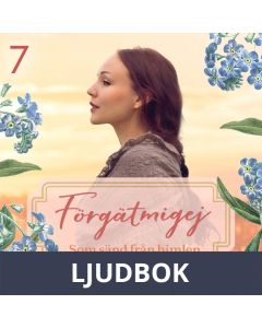 Som sänd från himlen, Ljudbok