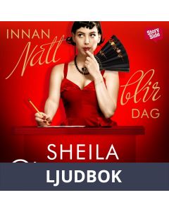 Innan natt blir dag, Ljudbok