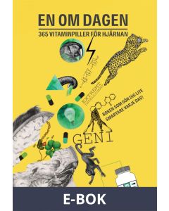 En om dagen : 365 vitaminpiller för hjärnan (PDF), E-bok
