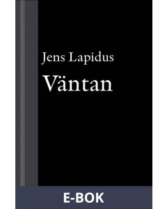 Väntan : novell ur Mamma försökte, E-bok