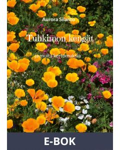 Tuhkimon kengät: ja muita kertomuksia, E-bok