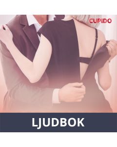 Lasinen talo - eroottinen novelli, Ljudbok