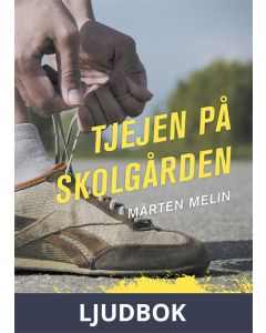 Tjejen på skolgården, Ljudbok