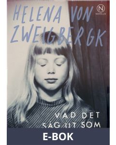 Vad det såg ut som, E-bok