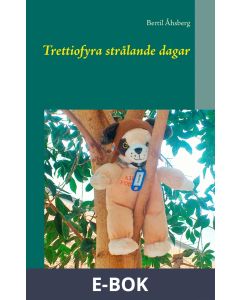 Trettiofyra strålande dagar, E-bok