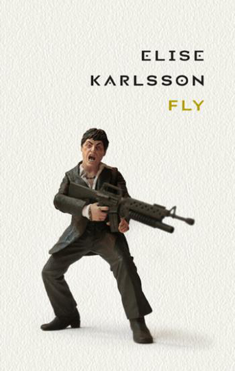 Fly